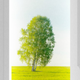 Illustration for article titled Woman Celebrating Four Years Cancer-Free Also Survives Freak Tree Accident